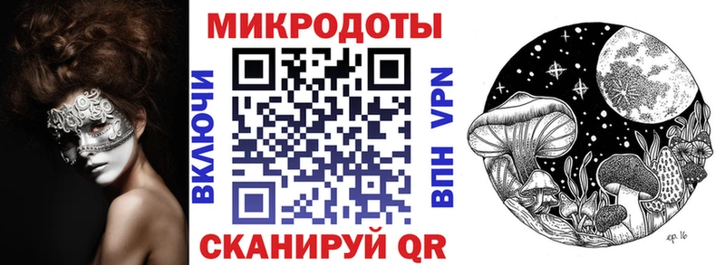 OMG   Курильск  Галлюциногенные грибы Cubensis 