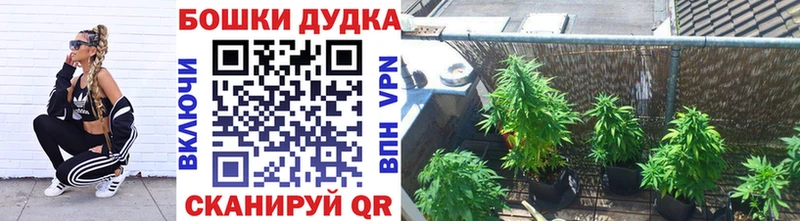 Бошки Шишки SATIVA & INDICA Курильск